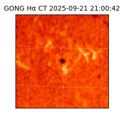 gong - 2025-09-21T21:00:42