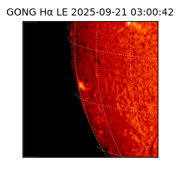 gong - 2025-09-21T03:00:42