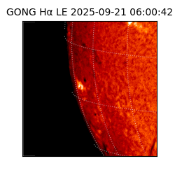 gong - 2025-09-21T06:00:42