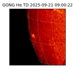 gong - 2025-09-21T09:00:22