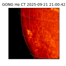 gong - 2025-09-21T21:00:42