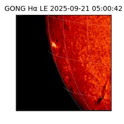 gong - 2025-09-21T05:00:42