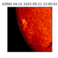 gong - 2025-09-21T23:00:42