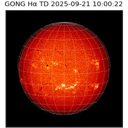 gong - 2025-09-21T10:00:22