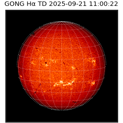gong - 2025-09-21T11:00:22