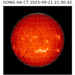 gong - 2025-09-21T21:00:42