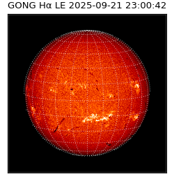 gong - 2025-09-21T23:00:42