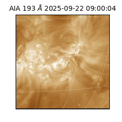 saia - 2025-09-22T09:00:04.835000