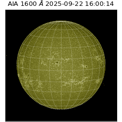 saia - 2025-09-22T16:00:14.126000