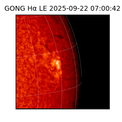 gong - 2025-09-22T07:00:42