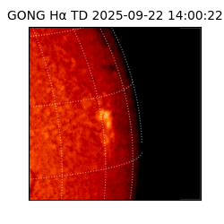 gong - 2025-09-22T14:00:22