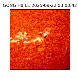 gong - 2025-09-22T03:00:42