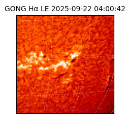 gong - 2025-09-22T04:00:42