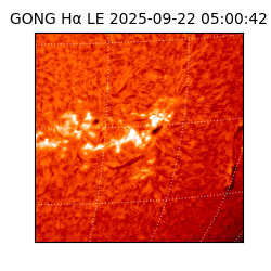 gong - 2025-09-22T05:00:42