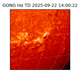 gong - 2025-09-22T14:00:22