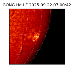 gong - 2025-09-22T07:00:42