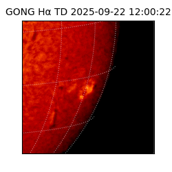 gong - 2025-09-22T12:00:22