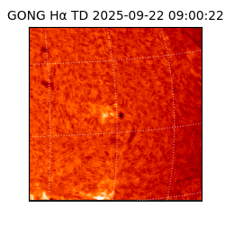 gong - 2025-09-22T09:00:22