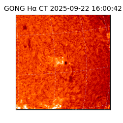 gong - 2025-09-22T16:00:42