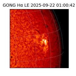gong - 2025-09-22T01:00:42