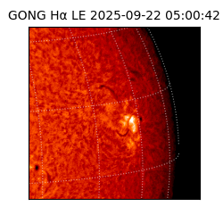 gong - 2025-09-22T05:00:42