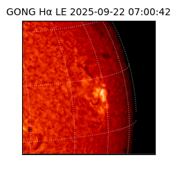 gong - 2025-09-22T07:00:42