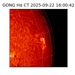 gong - 2025-09-22T16:00:42