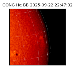 gong - 2025-09-22T22:47:02