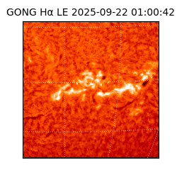 gong - 2025-09-22T01:00:42