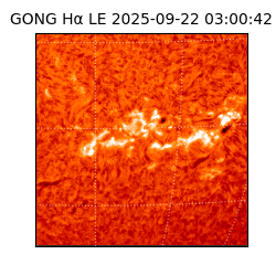 gong - 2025-09-22T03:00:42