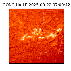 gong - 2025-09-22T07:00:42