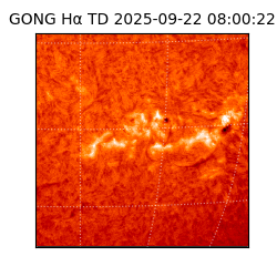 gong - 2025-09-22T08:00:22