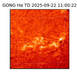 gong - 2025-09-22T11:00:22