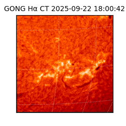 gong - 2025-09-22T18:00:42