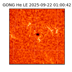 gong - 2025-09-22T01:00:42