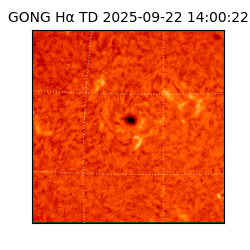 gong - 2025-09-22T14:00:22