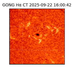 gong - 2025-09-22T16:00:42