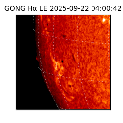 gong - 2025-09-22T04:00:42