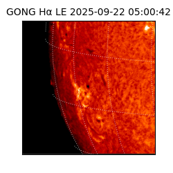 gong - 2025-09-22T05:00:42