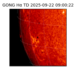 gong - 2025-09-22T09:00:22