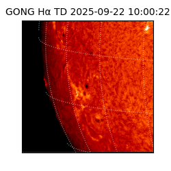 gong - 2025-09-22T10:00:22