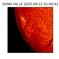 gong - 2025-09-22T01:00:42