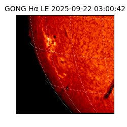 gong - 2025-09-22T03:00:42