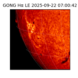 gong - 2025-09-22T07:00:42