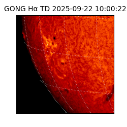 gong - 2025-09-22T10:00:22