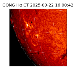 gong - 2025-09-22T16:00:42