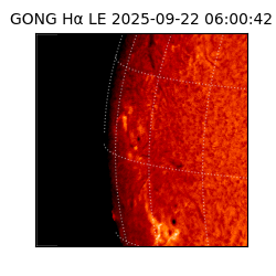 gong - 2025-09-22T06:00:42