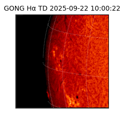 gong - 2025-09-22T10:00:22