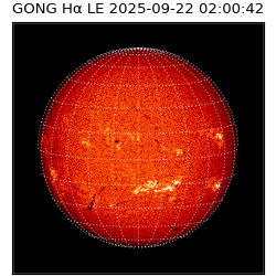 gong - 2025-09-22T02:00:42