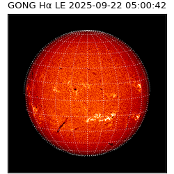 gong - 2025-09-22T05:00:42